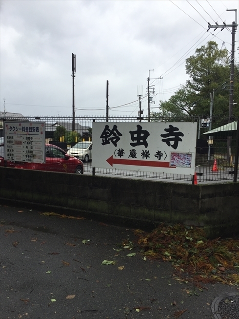 お願い事が叶うお寺 京都 嵐山 華厳寺 鈴虫寺 に行ってきた Vol 3 お参りの仕方 歌織のつれづれ日記